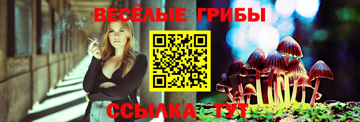 Галлюциногенные грибы мицелий Ростов Великий